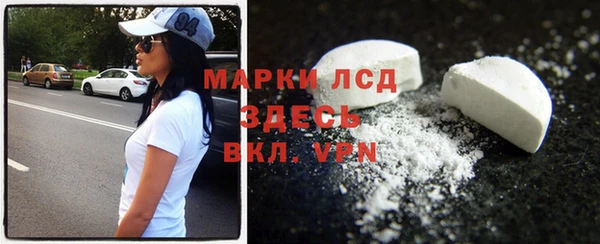 прущие грибы Балахна